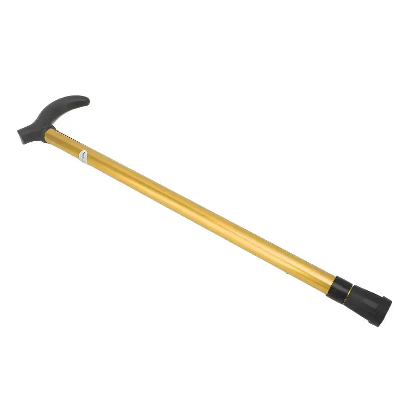 Bâton de marche canne randonnée