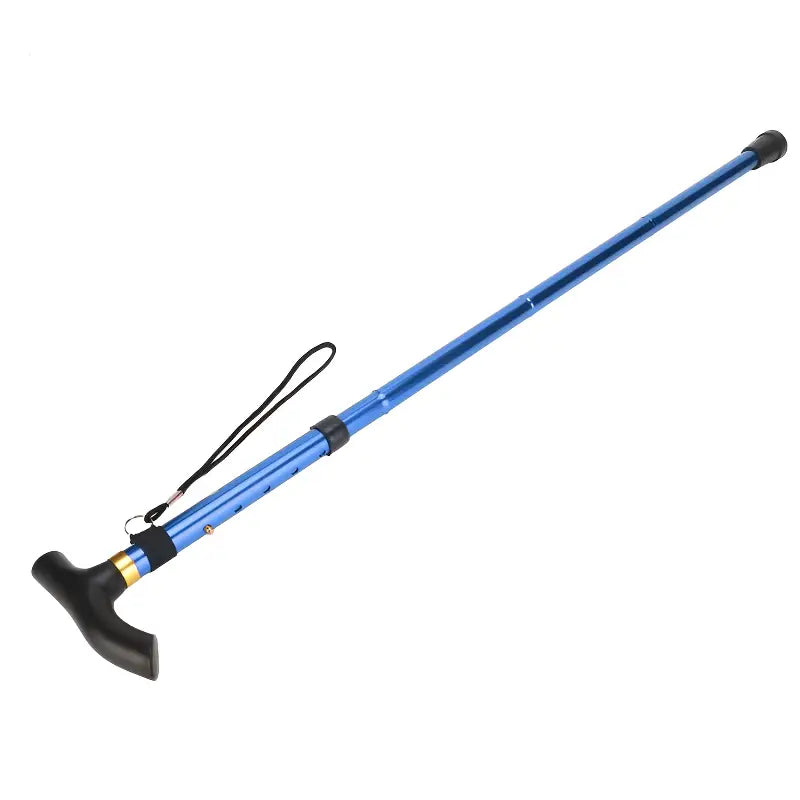 Bâton de marche canne randonnée