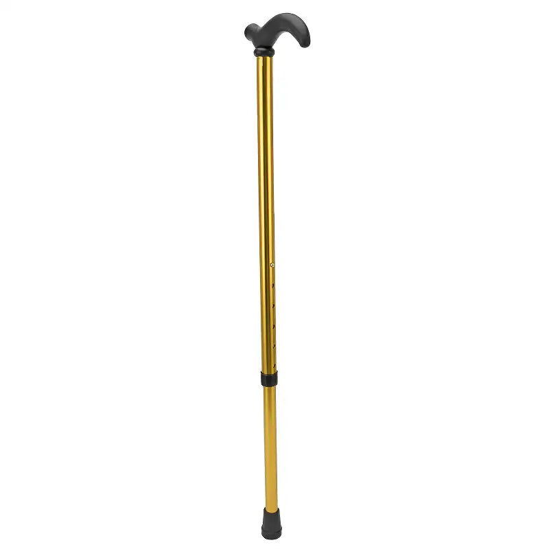 Bâton de marche canne randonnée