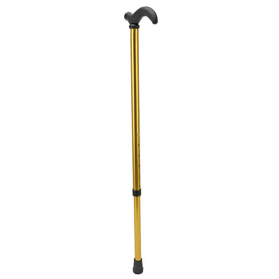 Bâton de marche canne randonnée