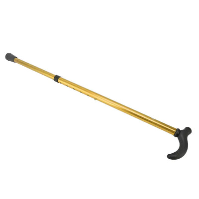 Bâton de marche canne randonnée