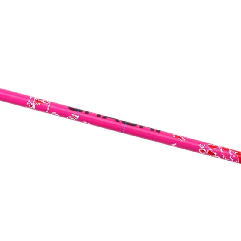 Baton de marche nordique pour trail