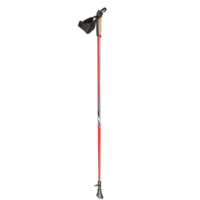 Bâton de marche nordique ski