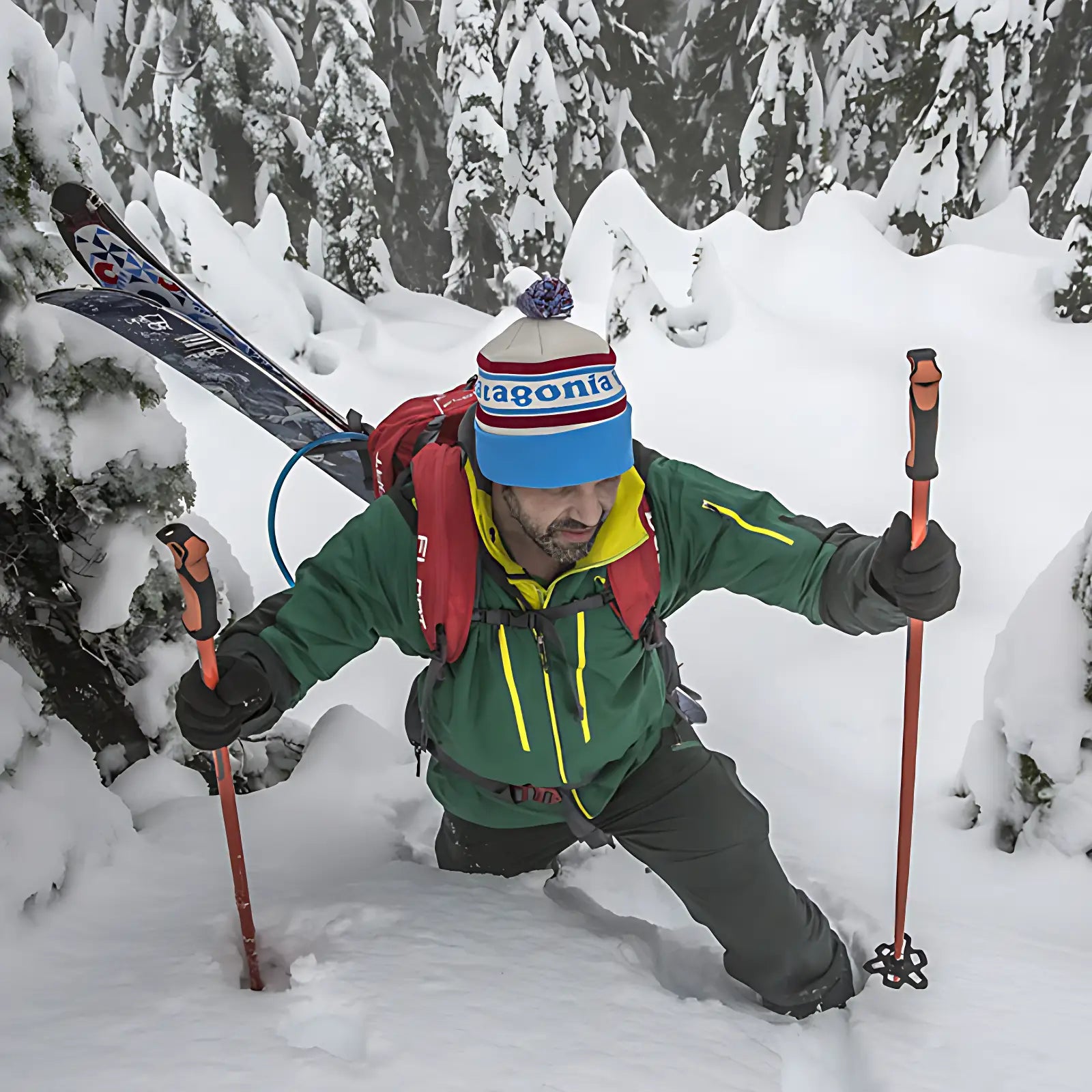 Bâton de marche nordique ski