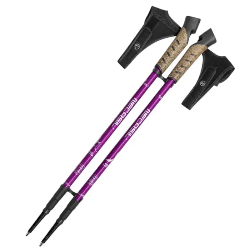 Bâton de marche nordique sport