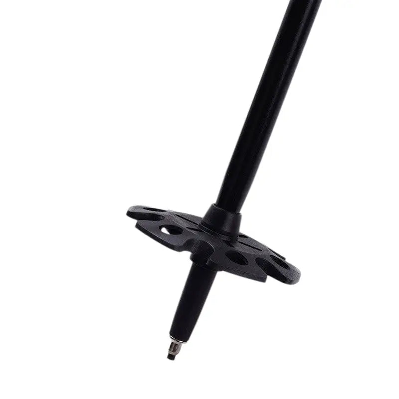 Bâton de marche nordique sport