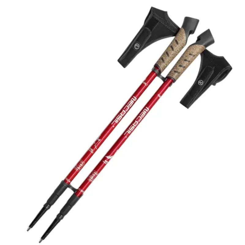 Bâton de marche nordique sport