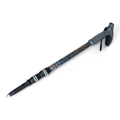 baton de randonnée en carbone