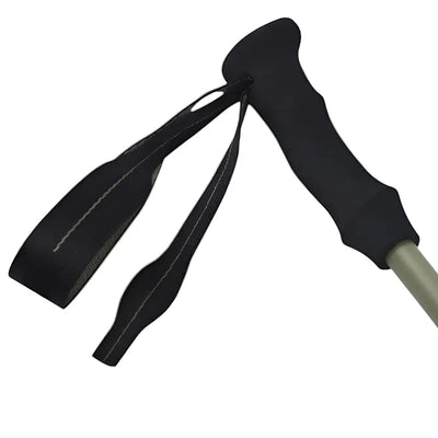 Batons de trail carbone