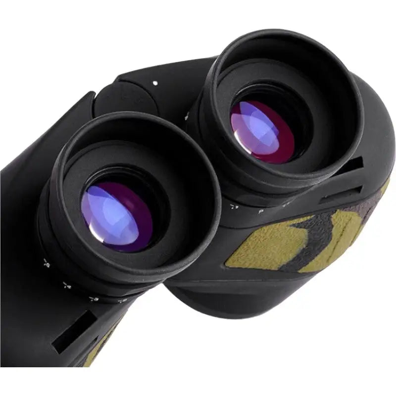 Binoculars with rangefinder and night vision