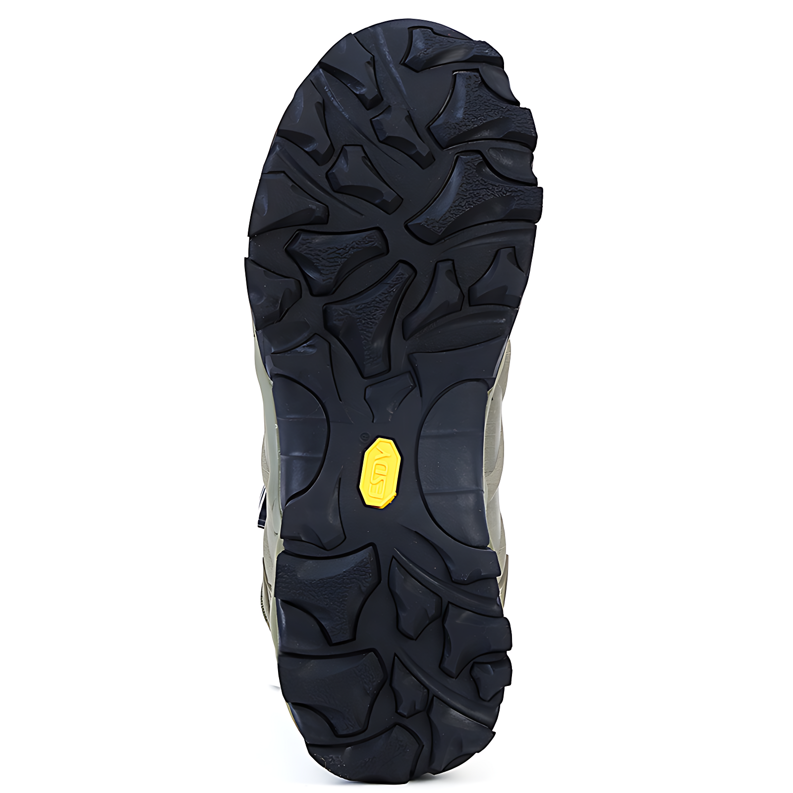 Boa tactical boots
