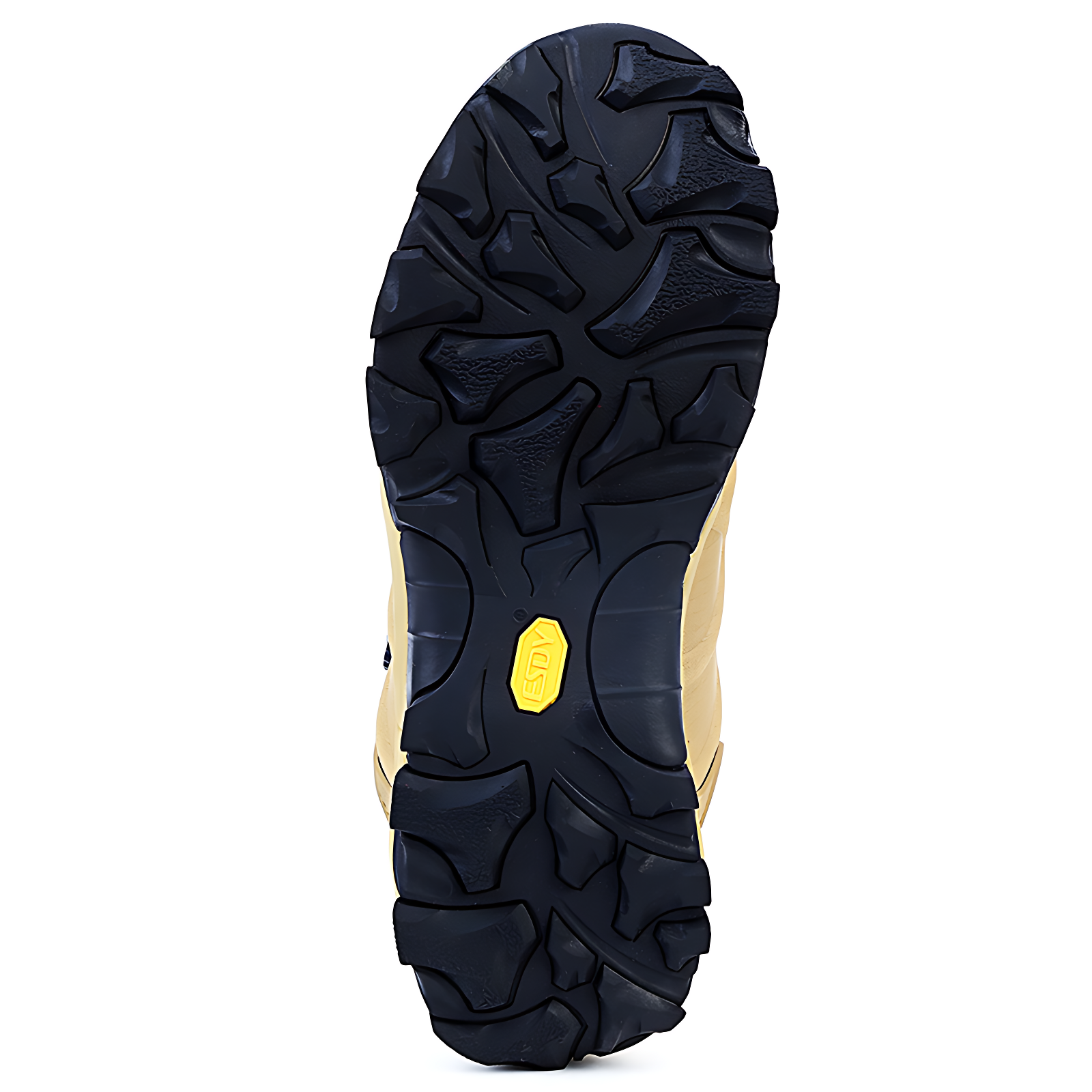 Boa tactical boots
