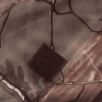 Camo softshell jacket