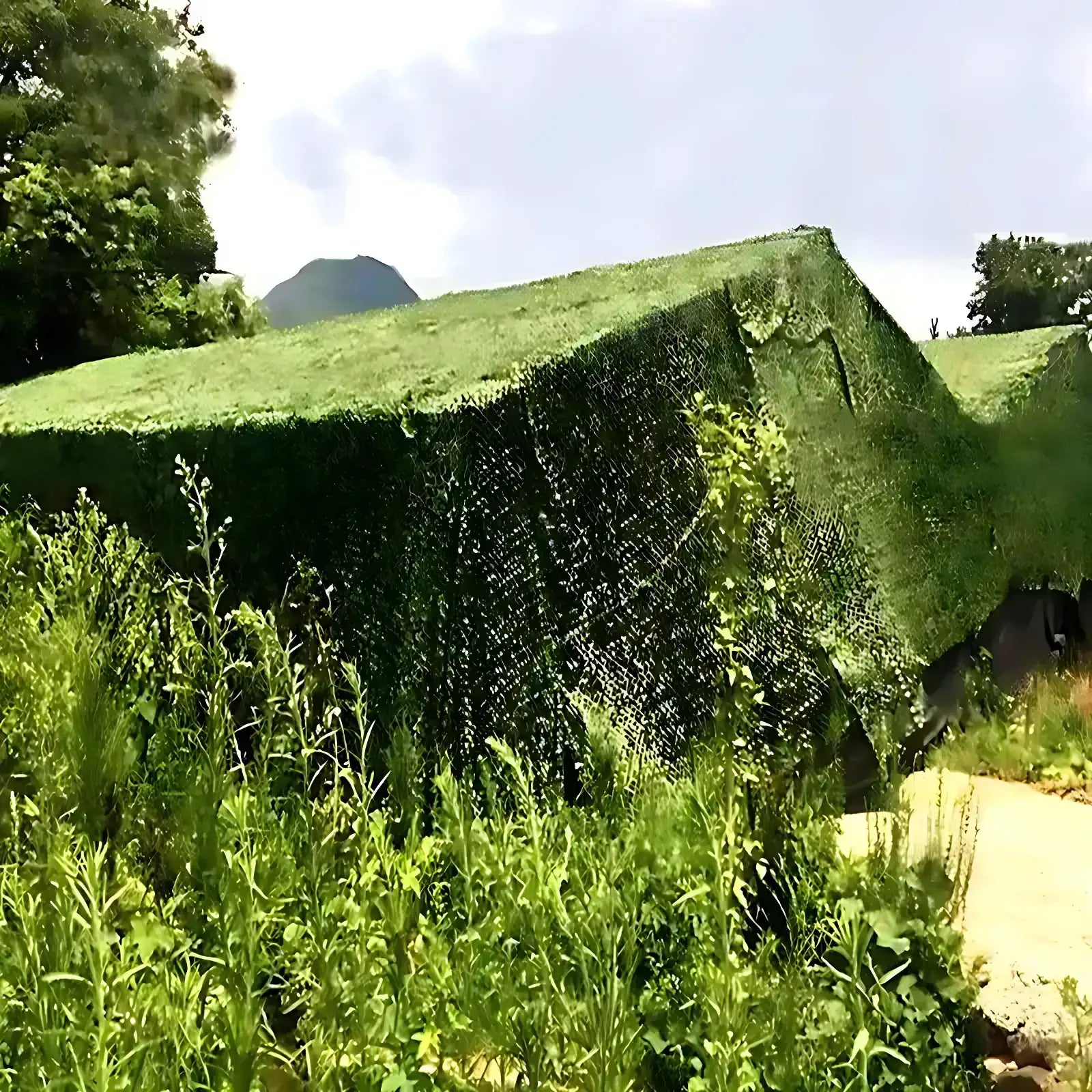 Camouflage Army Net
