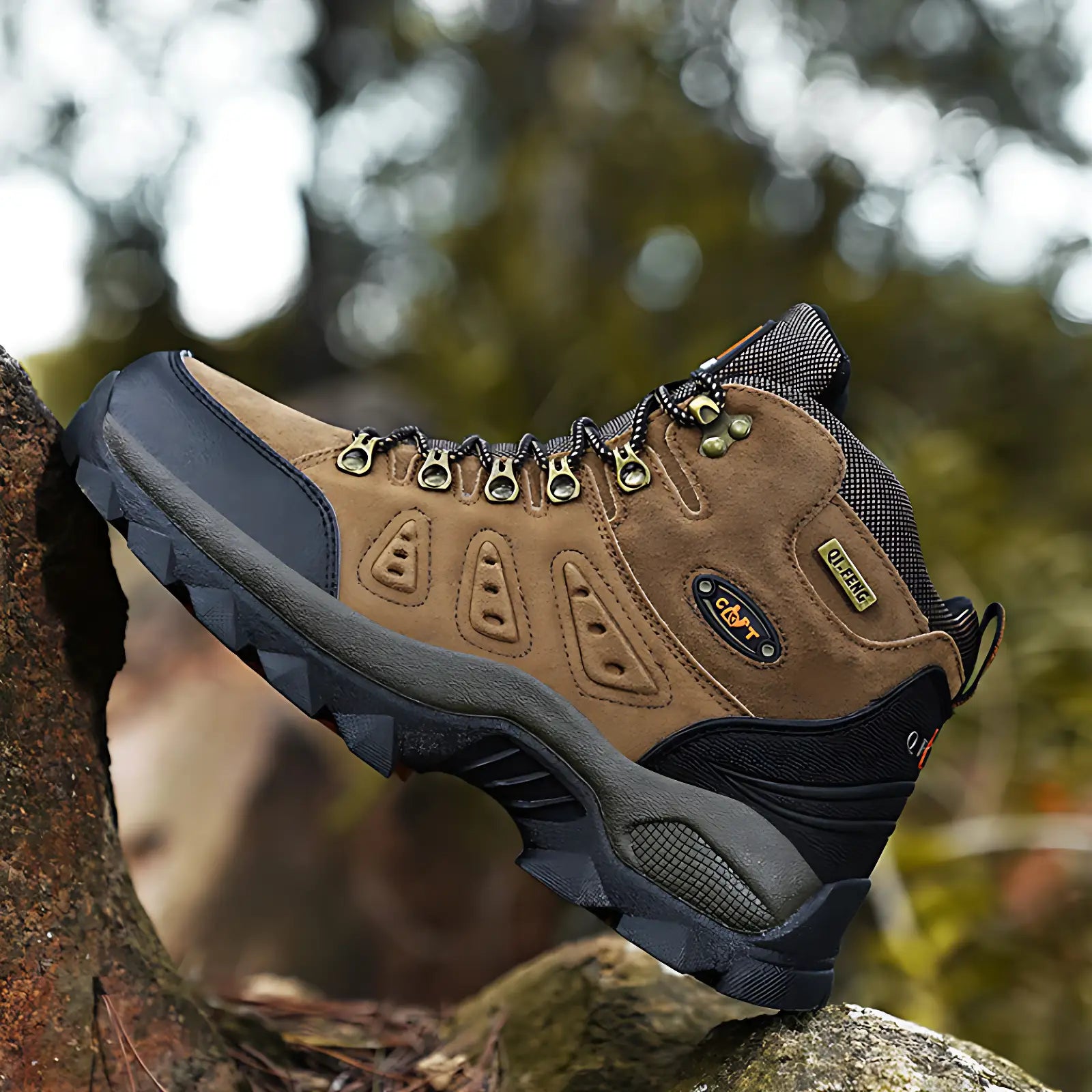 Chaussure de randonnée montante