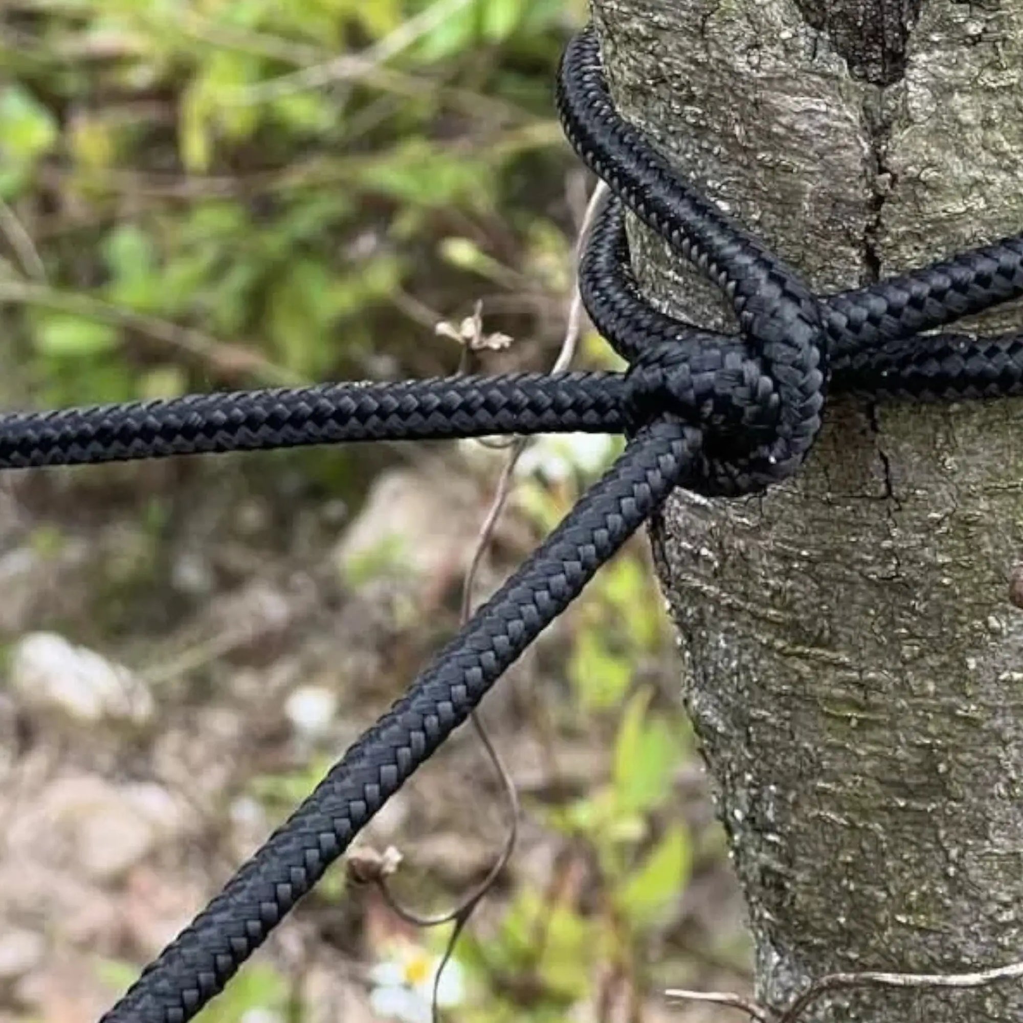 Hamac toile de tente