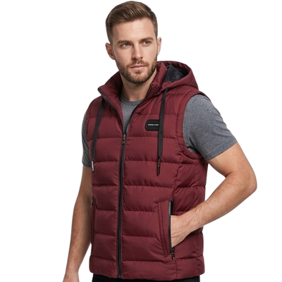 Hooded down vest