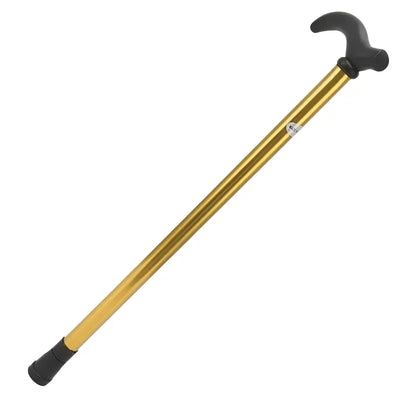 Bâton de marche canne randonnée