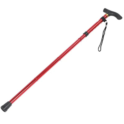 Bâton de marche canne randonnée