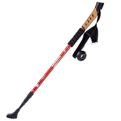Bâton de marche nordique à ressort