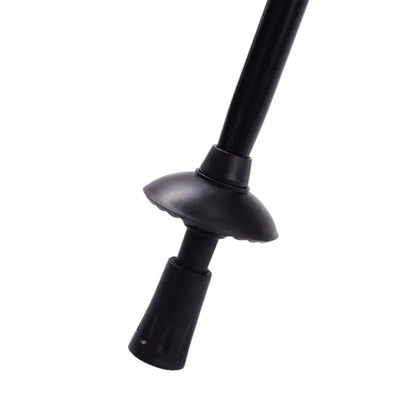 Bâton de marche nordique sport